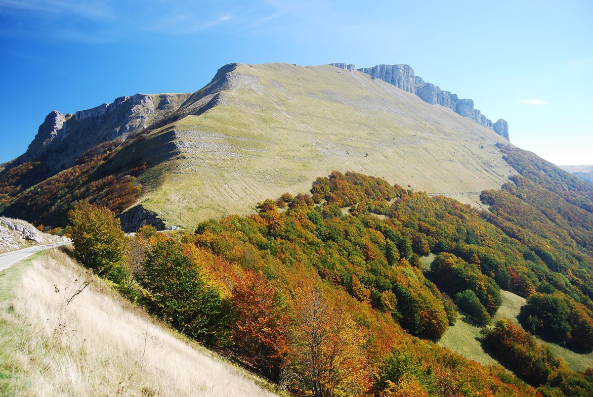 Photo des montagnes du vercors avec un groupe de randonneur se dirigeant vers le pic central au milieu des chemins de terre et des prairies couvertes de fleurs de montagnes